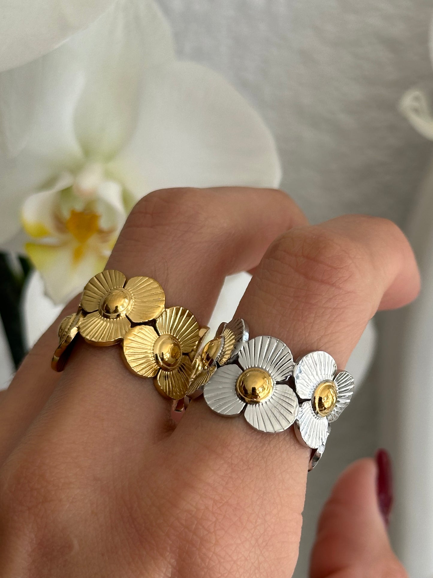 Anillo Spring