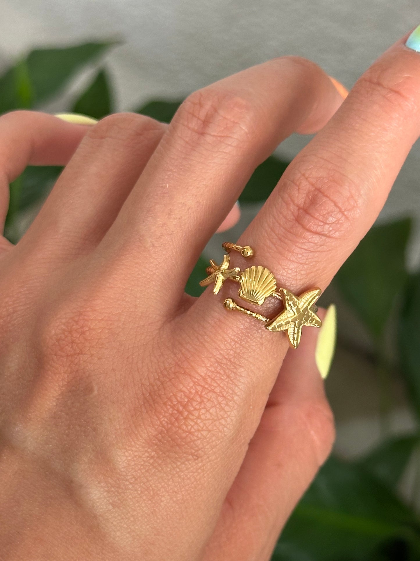 Anillo Mar