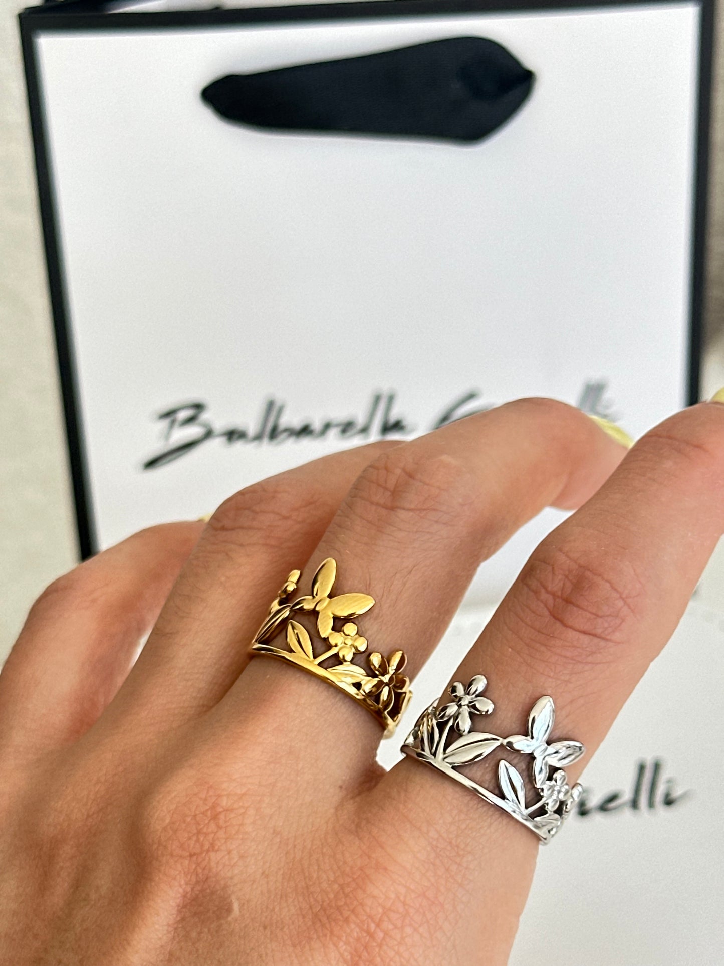 Anillo Jardín