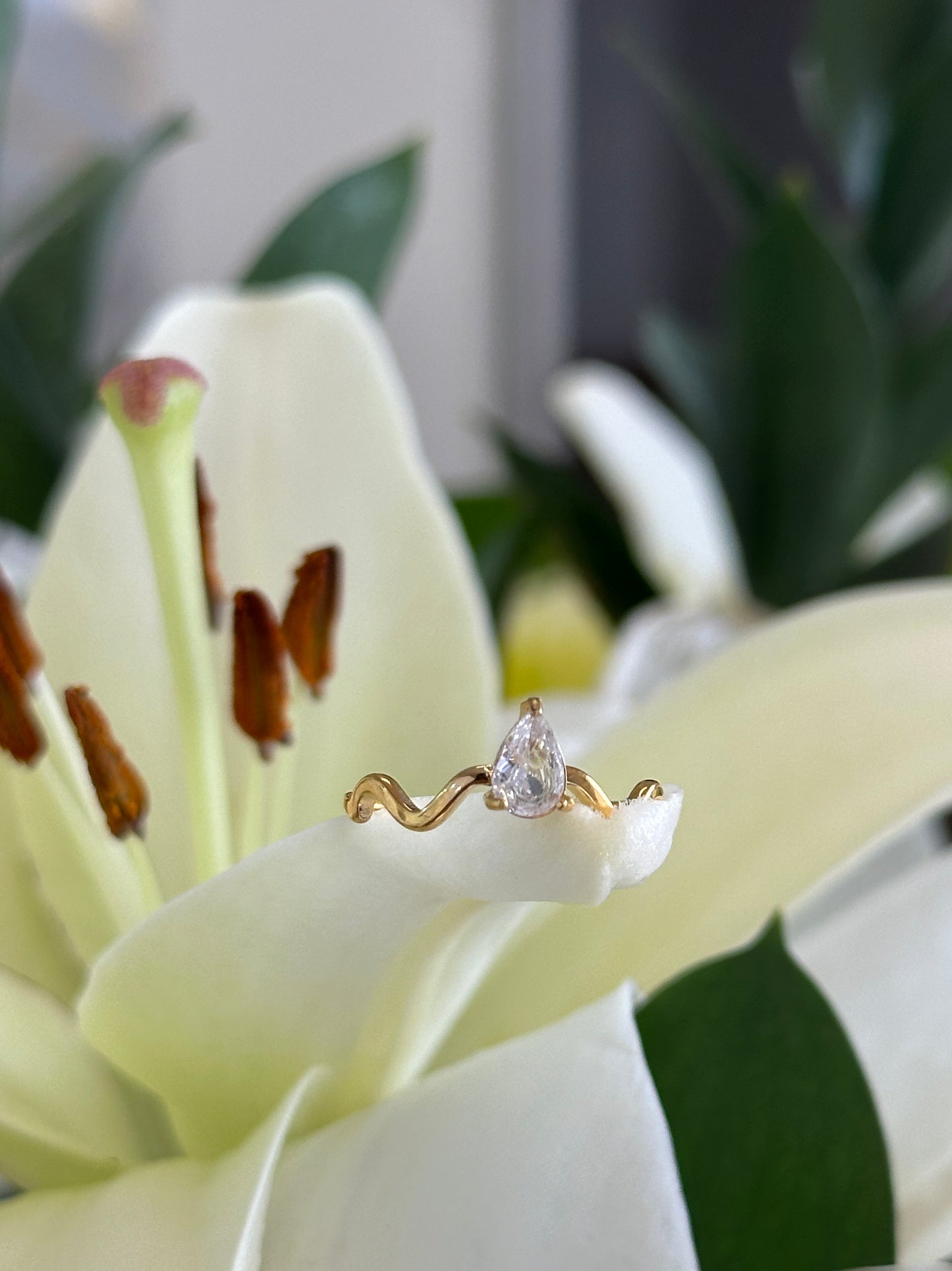 Anillo Allur