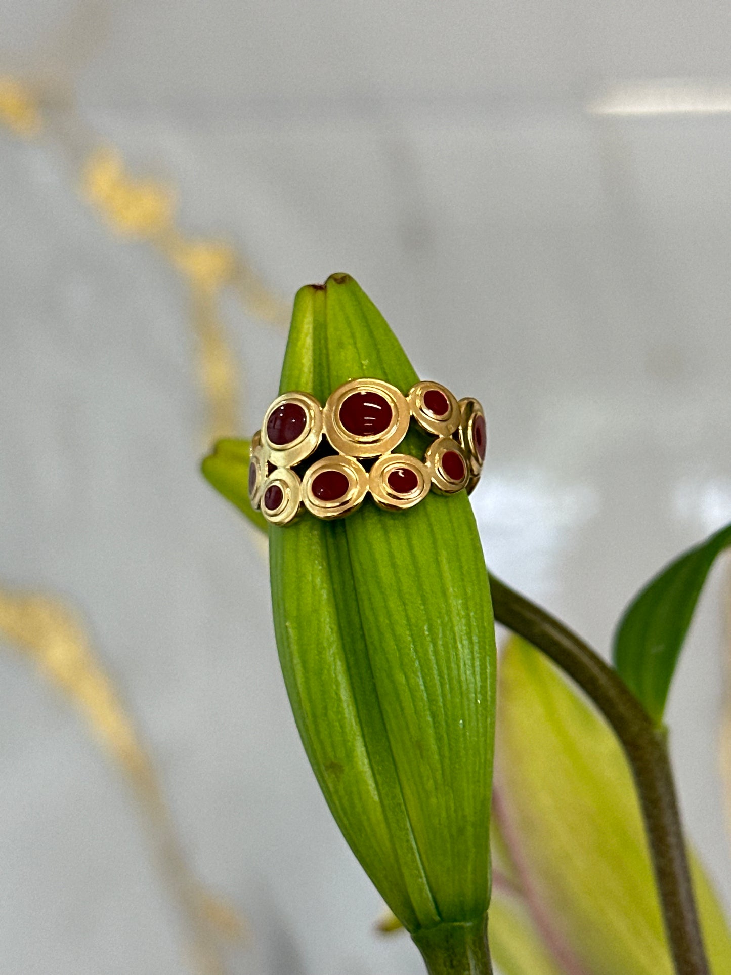 Anillo Redde