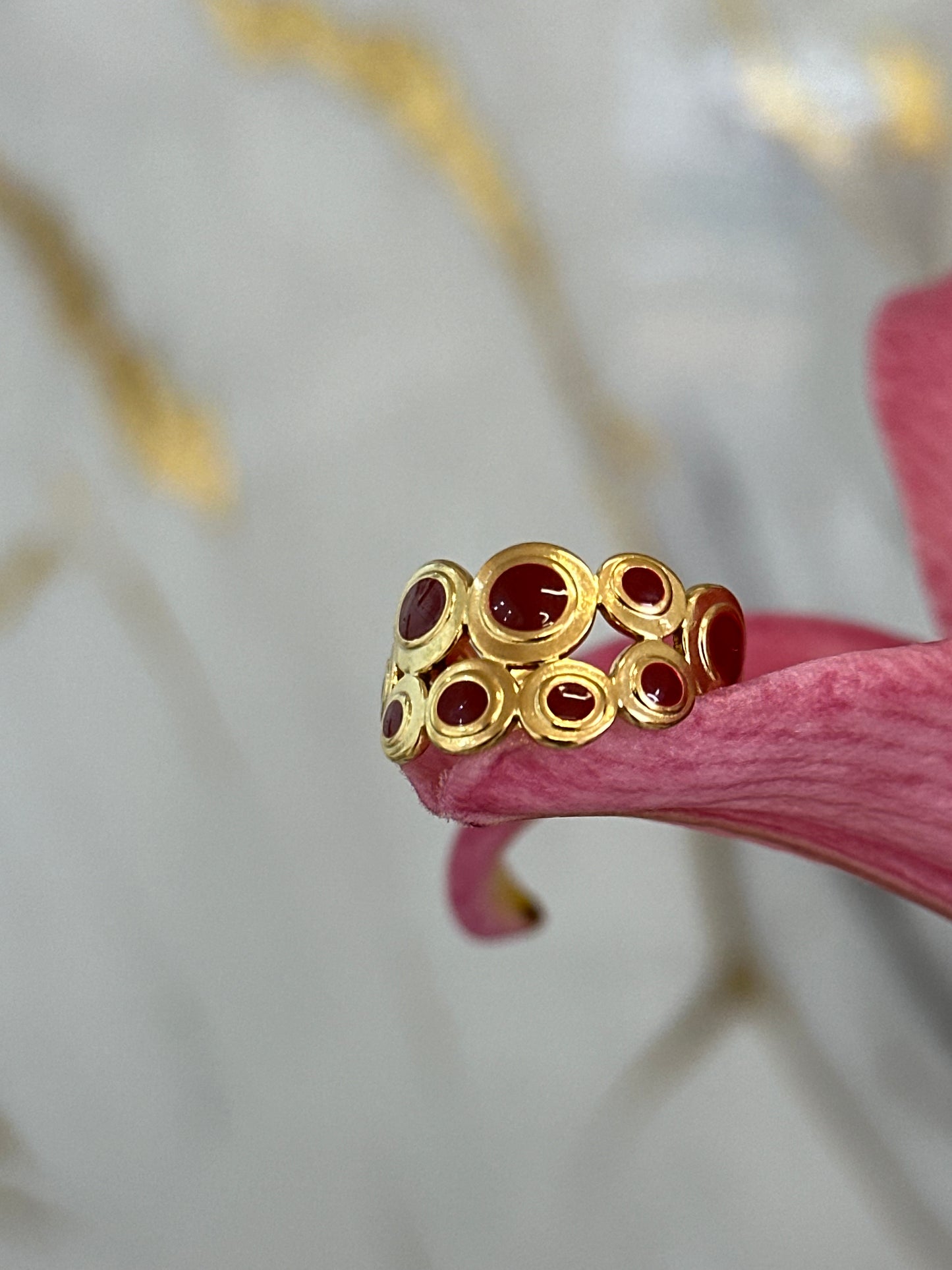 Anillo Redde