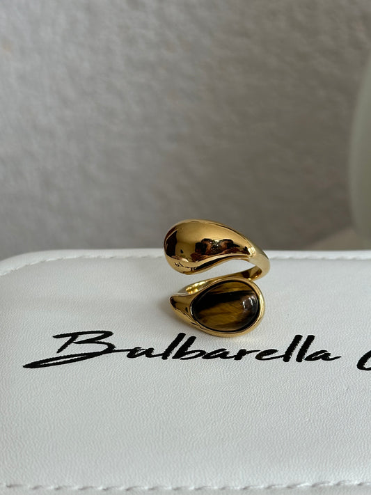 Anillo Provenza