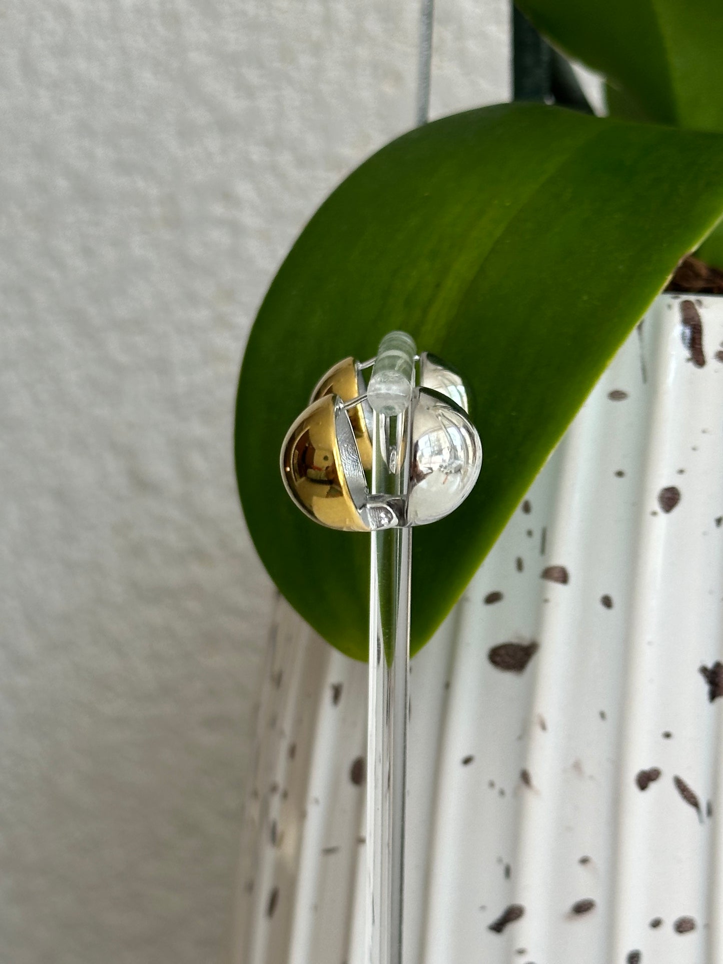 Arete cosme bicolor
