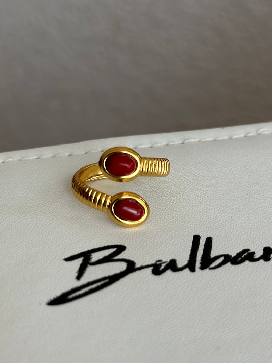 Anillo Sieni