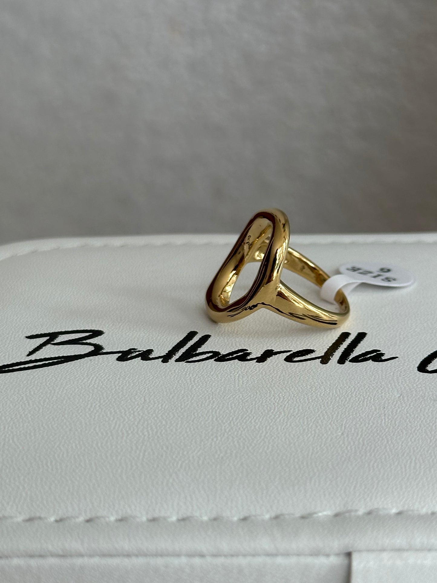 Anillo Paipa