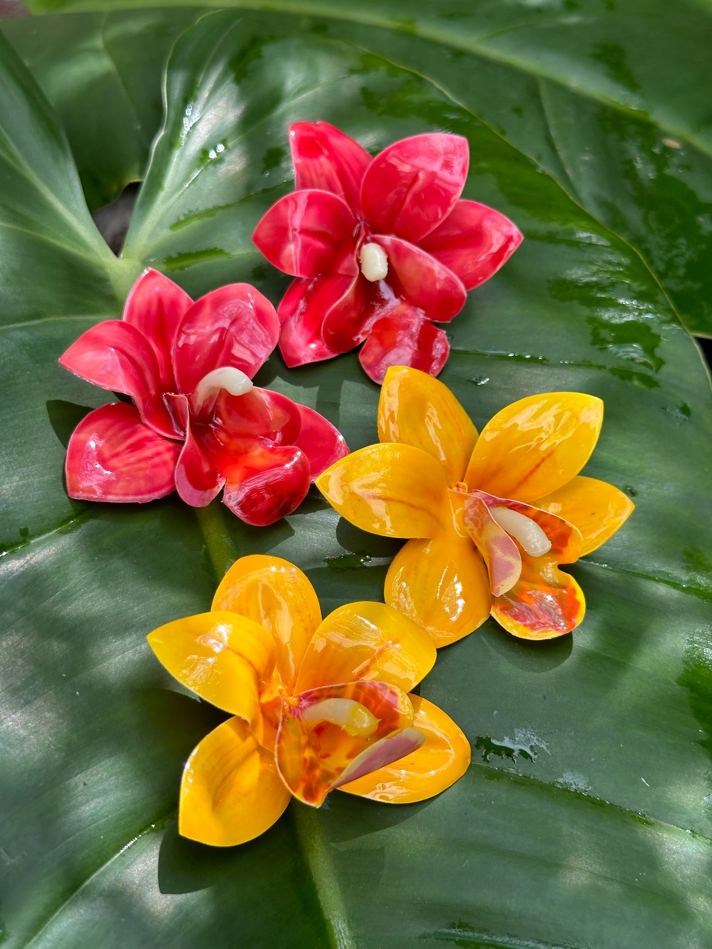 Flor Armenia