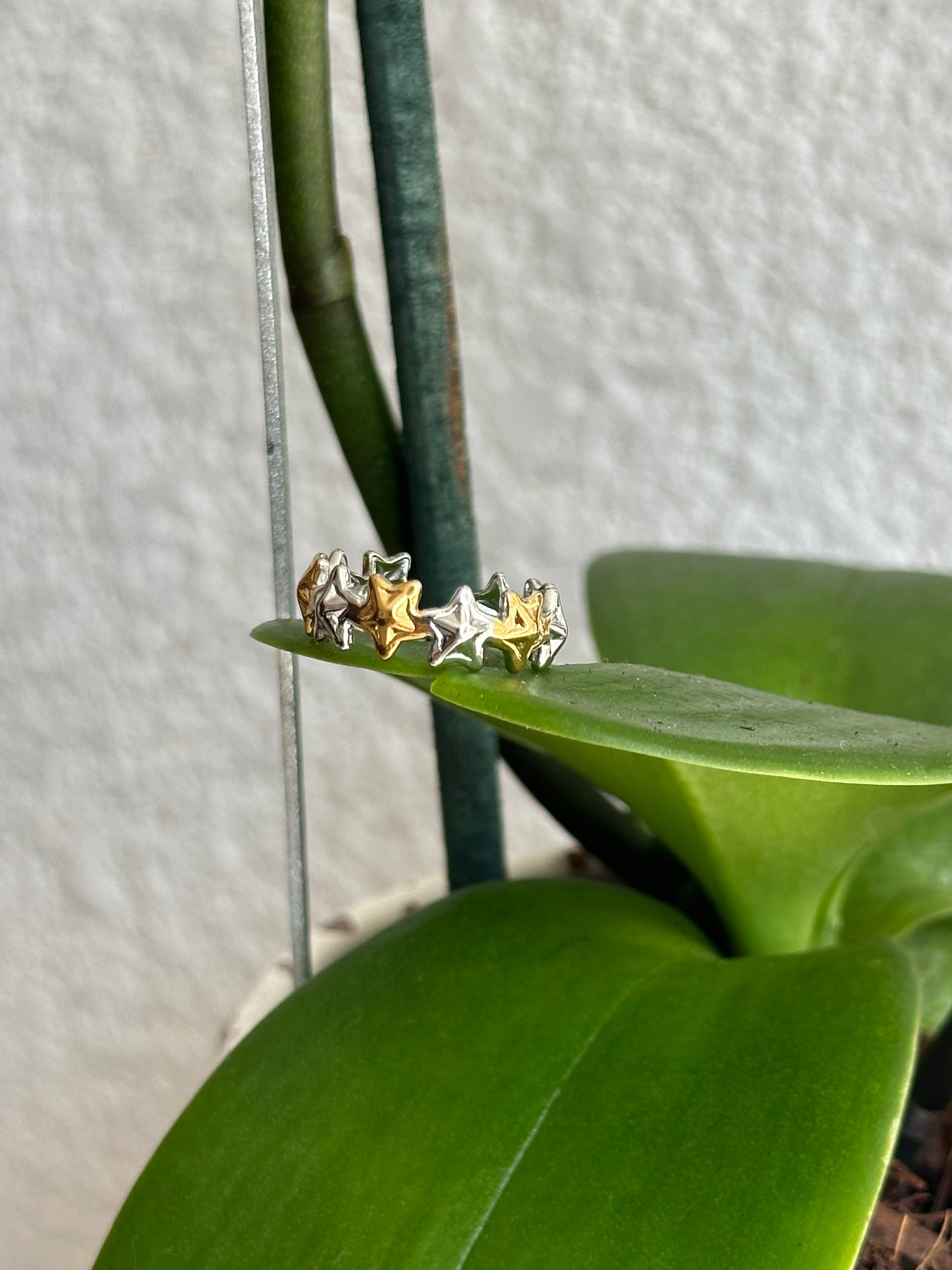 Anillo Constelación