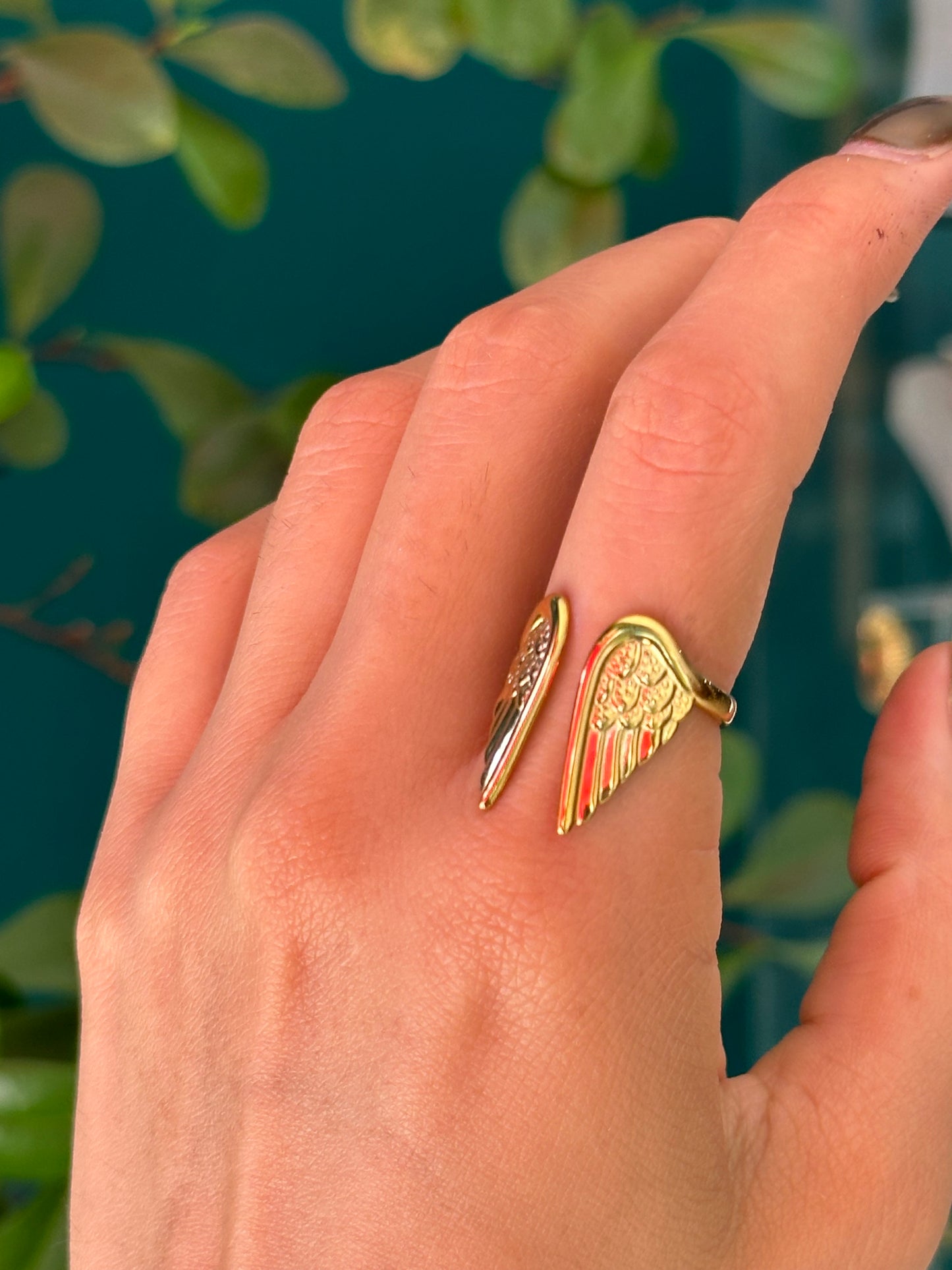 Anillo Alas
