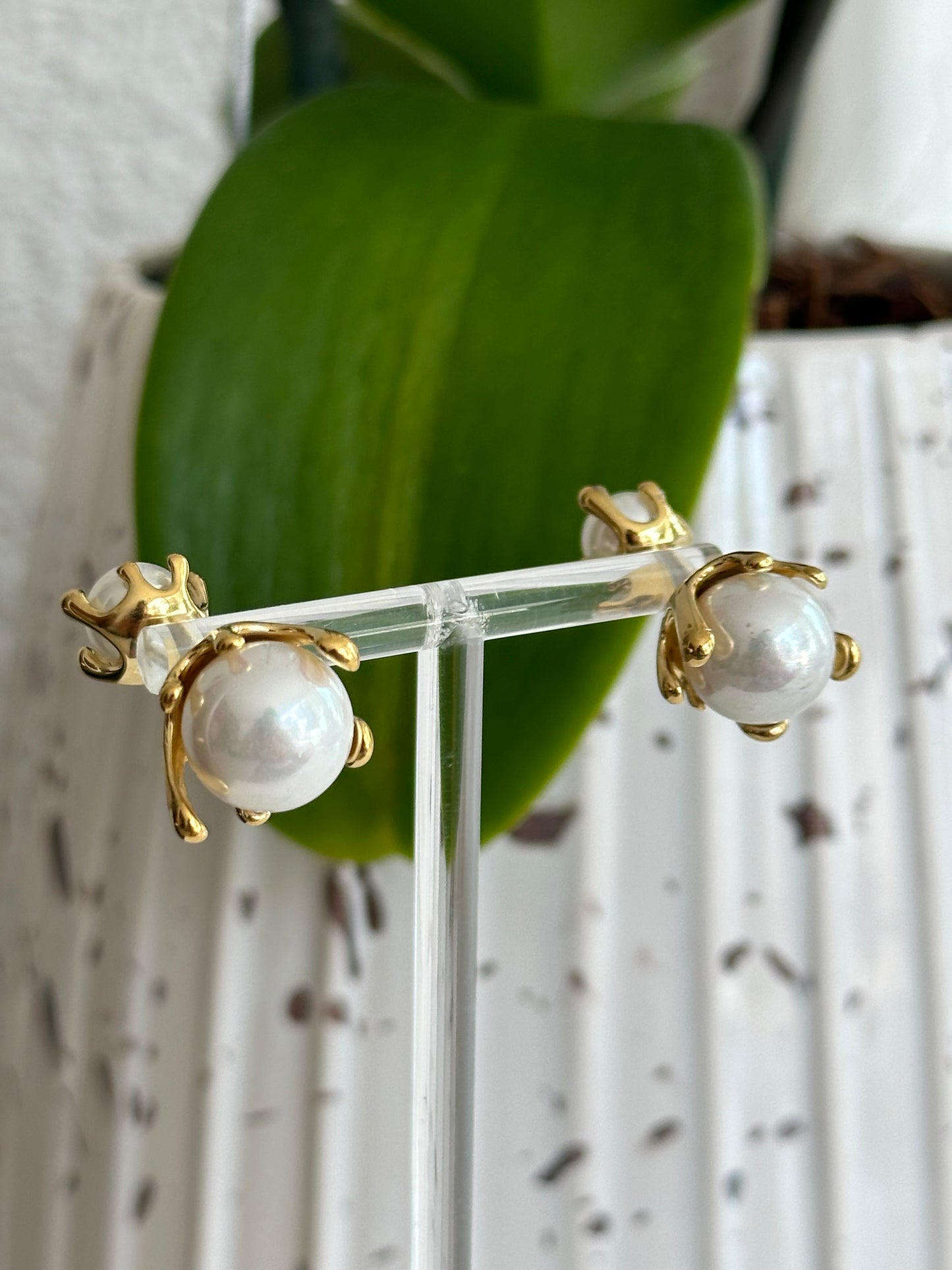 Arete Abeja