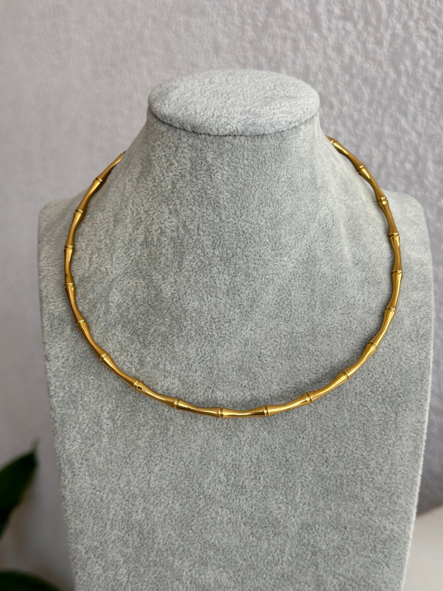 Collar Caña